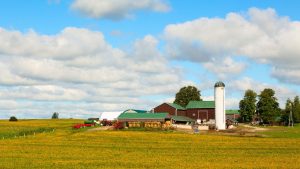 agriculture farming