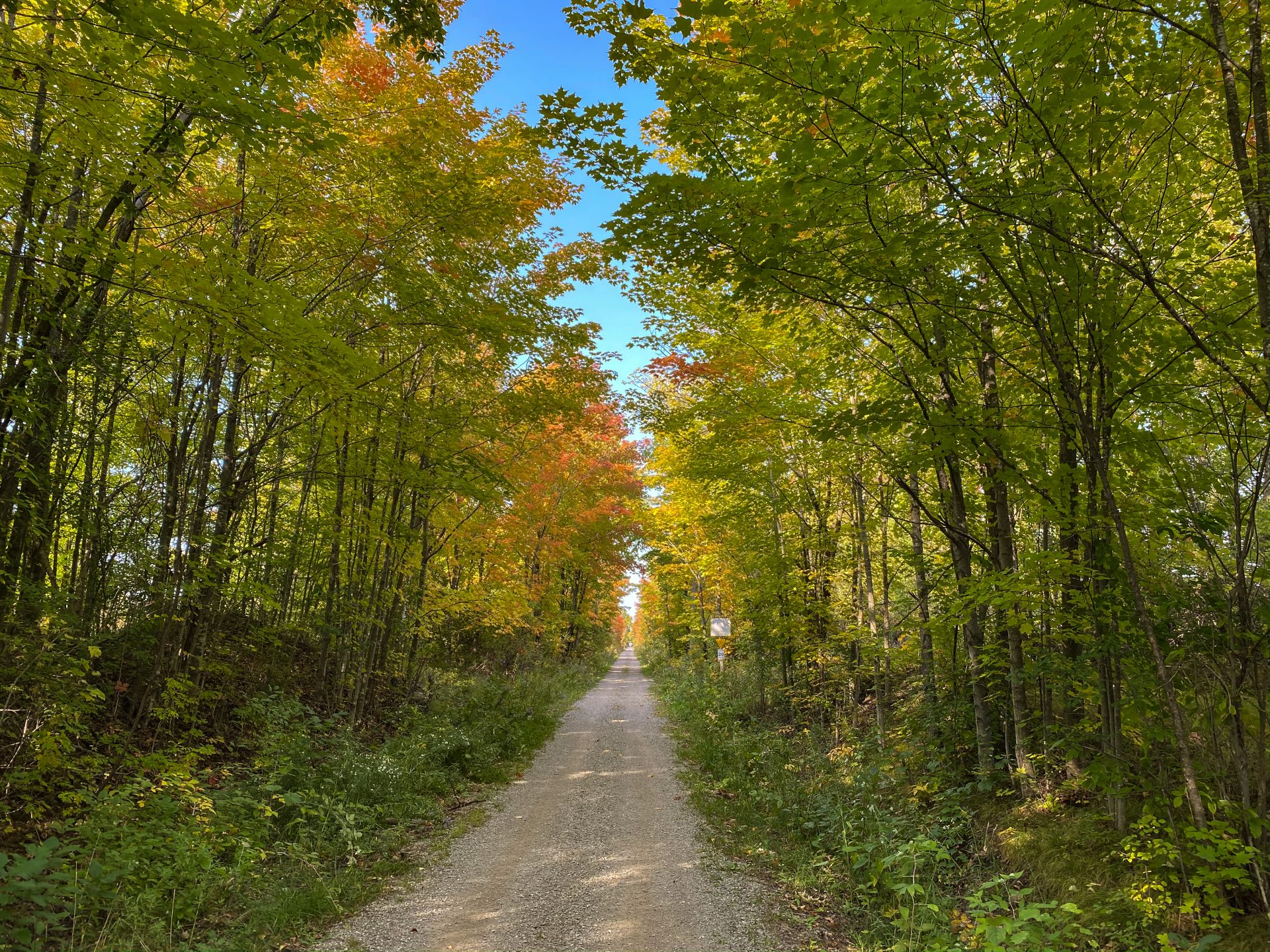 The Cataraqui Trail stretches from Smiths Falls to the edge of Napanee.